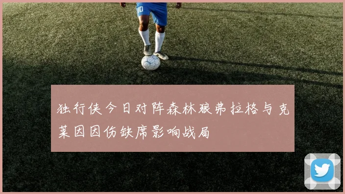 独行侠今日对阵森林狼弗拉格与克莱因因伤缺席影响战局