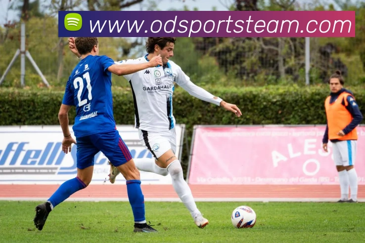 OD体育平台生态图